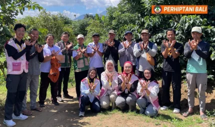 Penyuluh Jadi Mentor, Mahasiswa UGM Belajar Langsung di Kebun Kopi