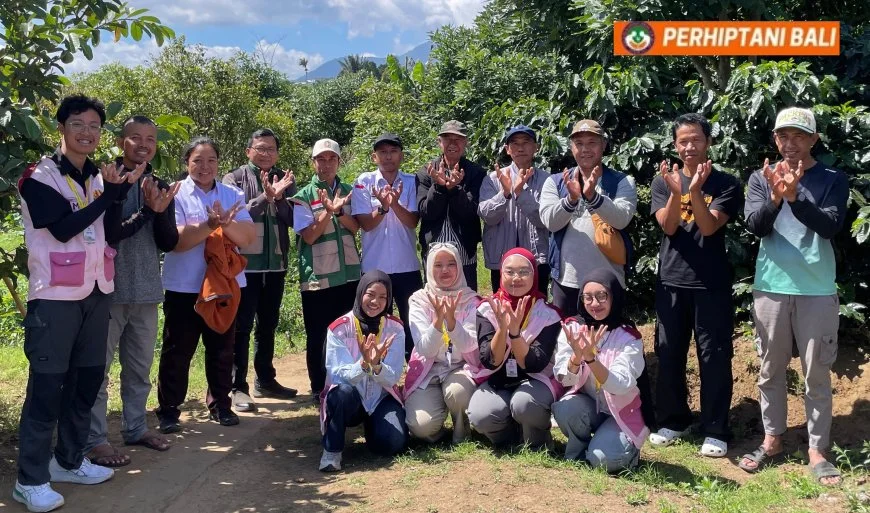 Penyuluh Jadi Mentor, Mahasiswa UGM Belajar Langsung di Kebun Kopi